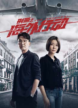 刑警之海外行动