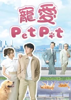 宠爱pet pet