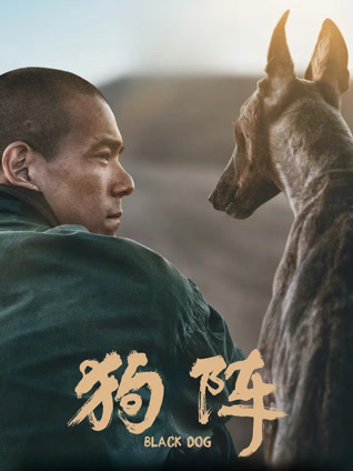 狗阵