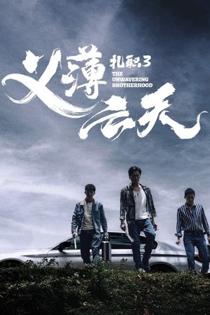 扎职3