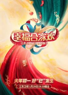 江苏卫视春晚2025