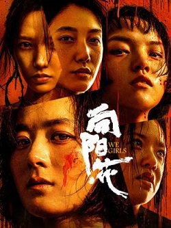 向阳·花